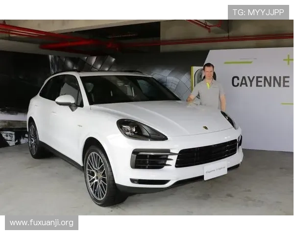 如何确保通过保时捷PG官网入口安全登录并保护个人信息